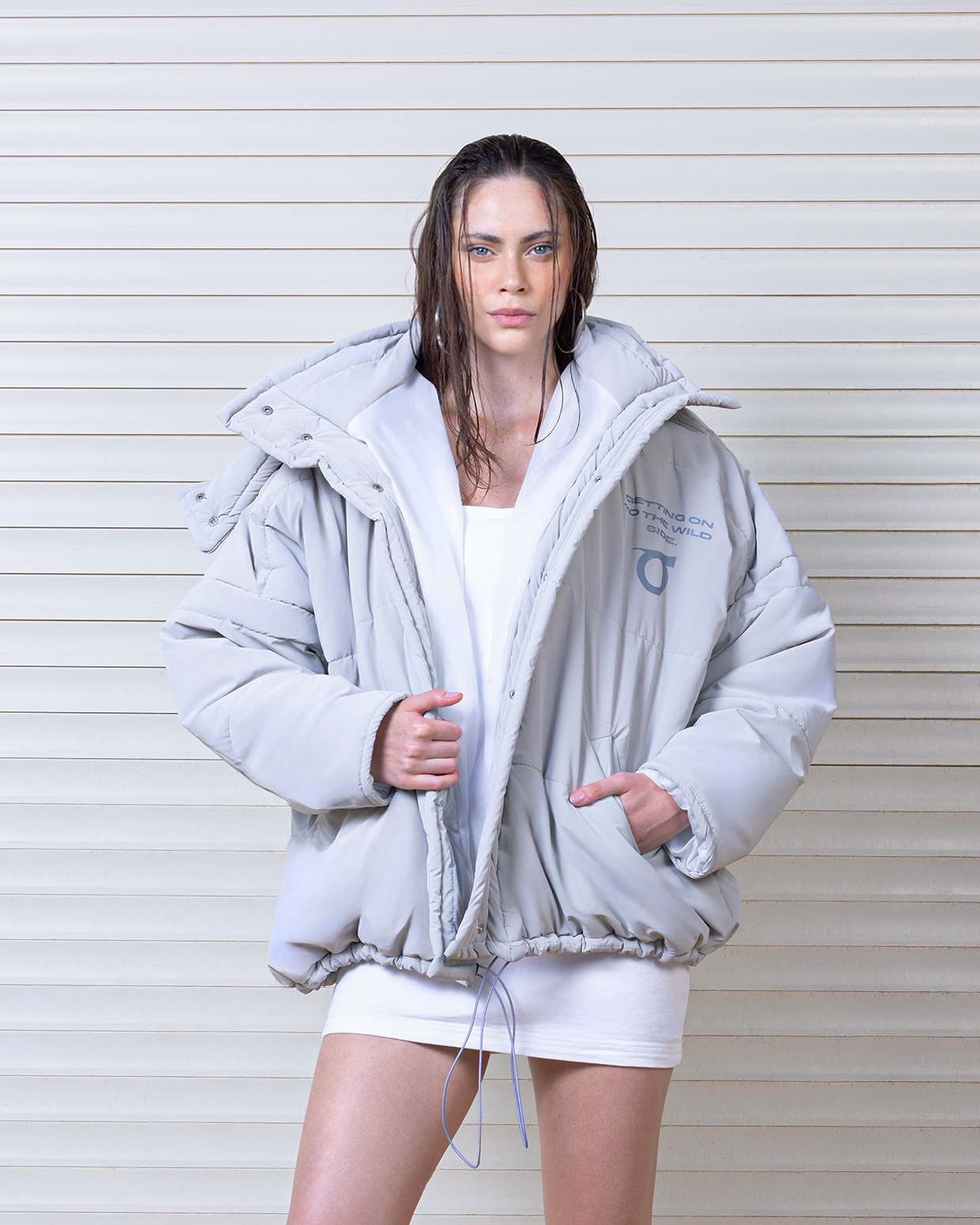 【BAGARCH】PUFFER HOODIE 11-22-